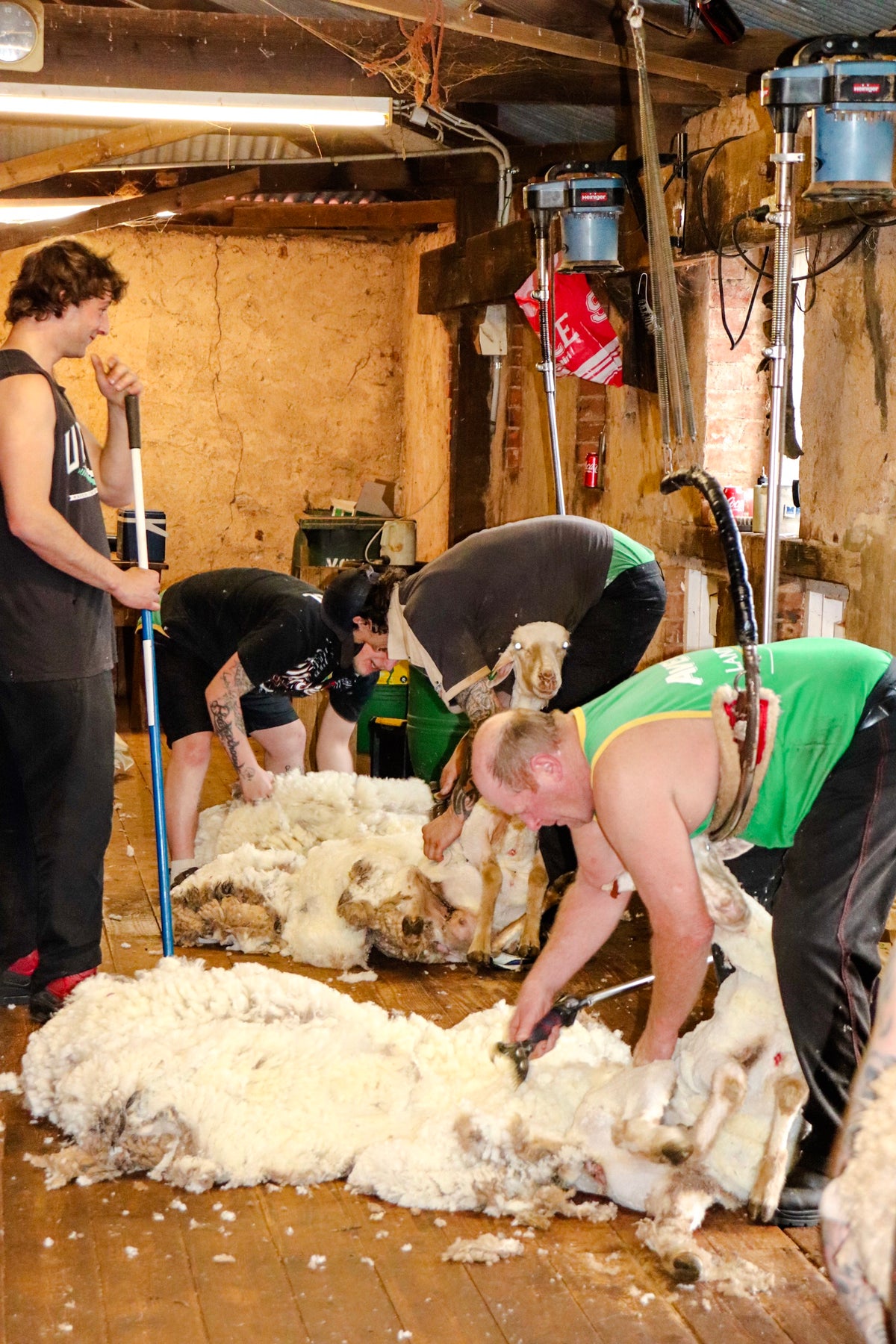 Australian Merino Wool
